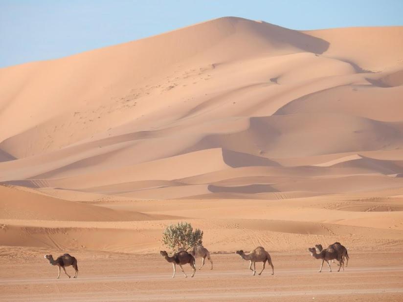 Auberge Sahara Garden Lac Yasmins Kültér fotó