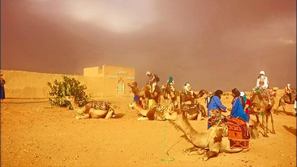 Auberge Sahara Garden Lac Yasmins Kültér fotó